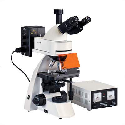 XSP-BM22AY科研级三目荧光显微镜